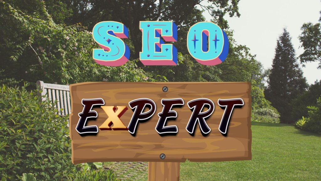 SEO Expert - Rhasko Digital, Expert